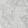 Azario Livid Gris