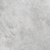 Azario Livid Gris
