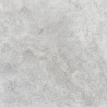 Azario Livid Gris