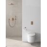 GROHE Rainshower Cosmopolitan Metal 26066DA0 - Powystawowa Łódź Pojezierska