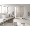 GROHE Rainshower Cosmopolitan Metal 26066DA0 - Powystawowa Łódź Pojezierska