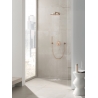GROHE Rainshower Cosmopolitan Metal 26066DA0 - Powystawowa Łódź Pojezierska