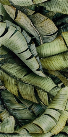 Ceramika Paradyż Uniwersalne Inserto Szklane Leaf B