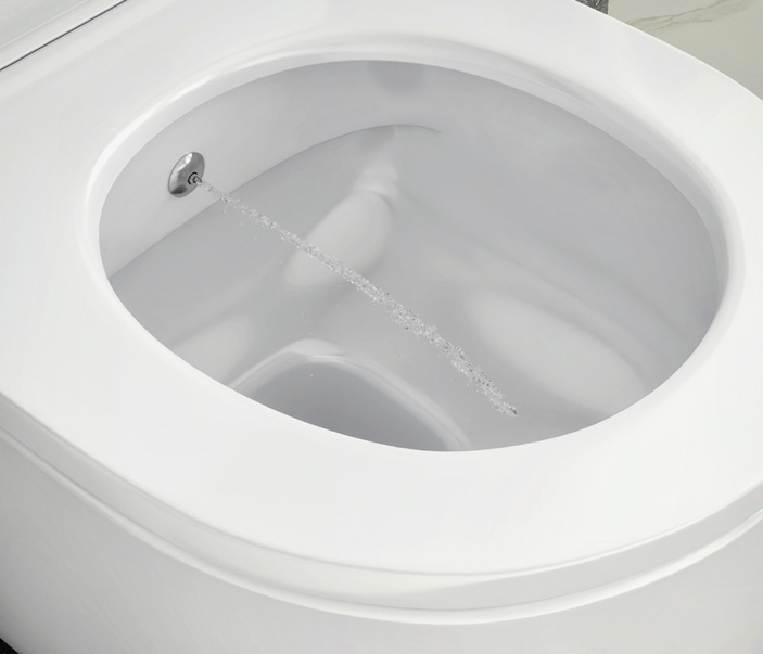 Na co zwrócić uwagę przy wyborze miski WC z funkcją bidetu?